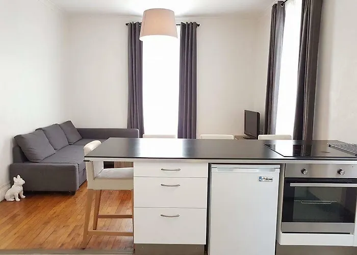 Apt Spacieux Proche Lyon Guillotte